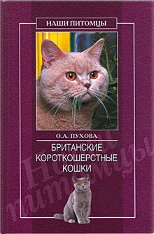 Олеся Пухова: Британские короткошерстные кошки