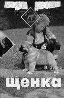 Валерьян Зубко: Воспитание щенка