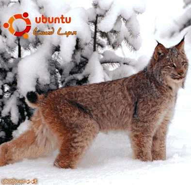 Вадим Неворотин: Руководство по переходу на Ubuntu 10.04 LTS «Lucid Lynx»