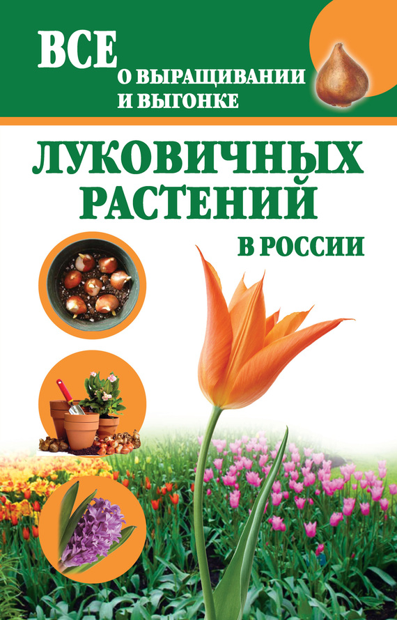 Татьяна Литвинова: Все о выращивании и выгонке луковичных растений в России