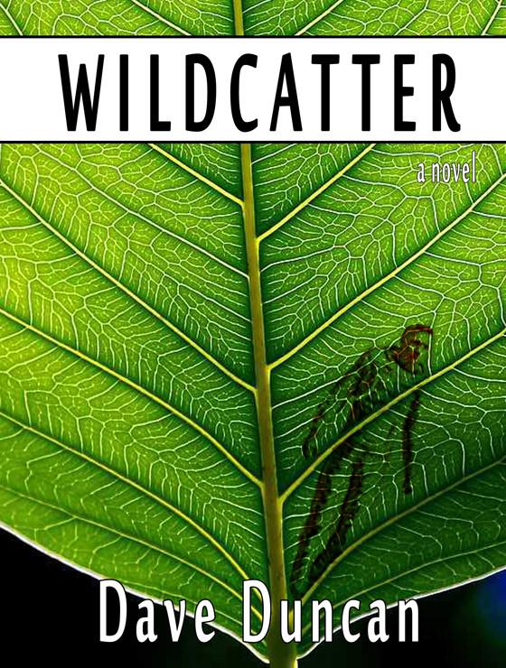 Дэйв Дункан: Wildcatter