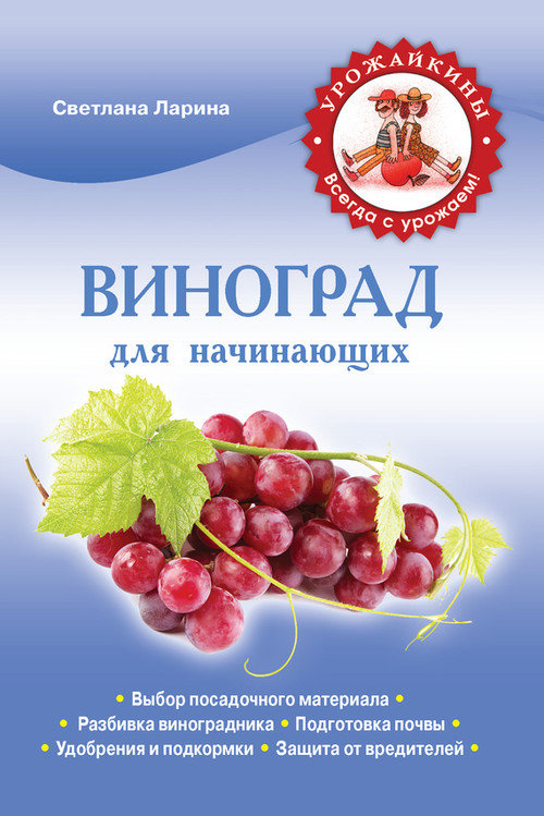 Светлана Ларина: Виноград для начинающих