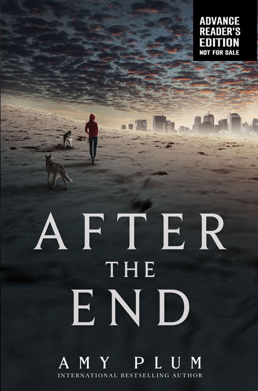Эми Плам: After the End