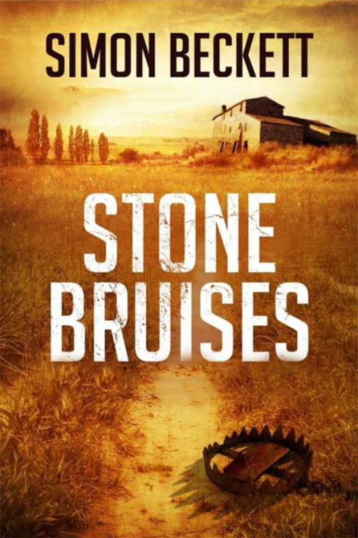 Саймон Бекетт: Stone Bruises