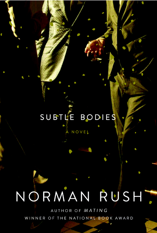 Норман Раш: Subtle Bodies